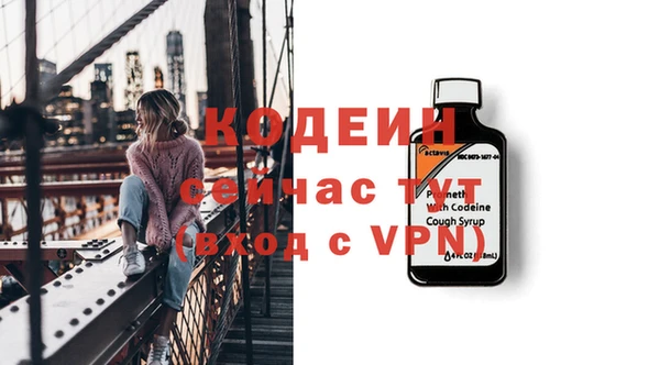 эйфоретик Алзамай