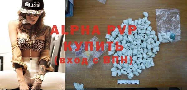 мяу мяу мука Абаза