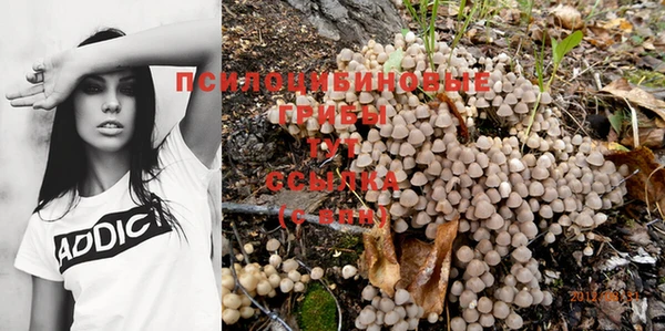 первитин Абинск