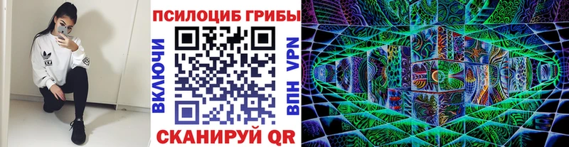 Псилоцибиновые грибы Cubensis  Удомля 