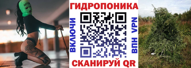 Конопля планчик  Удомля 